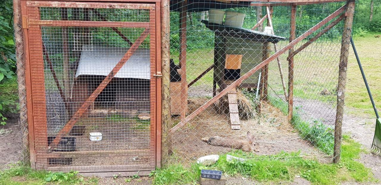 Camping Jaunzāģeri Inciems Bagian luar foto